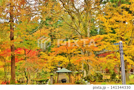 紅葉映える新潟県南魚沼市六日町雲洞庵境内風景 141344330