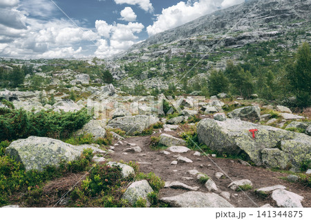 rocky mountain hiking trail with a red 'T' trail marker. Path to natural attractions of Trolltunga or Troll's tongue. rocky mountain hiking trail with a red 'T' trail marker. Path to natural attractions of Trolltunga or Troll's tongue. 141344875