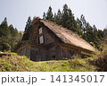 杉林を背景にした合掌造りの古民家全景 白川郷の伝統家屋 141345017