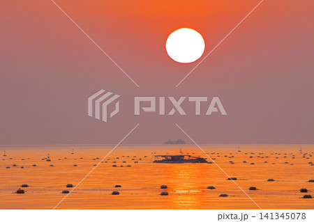 明石海峡の海苔の養殖場と夕陽と輝く波の綾(林崎松江海岸より) 明石海峡の海苔の養殖場と夕陽と輝く波の綾(林崎松江海岸より) 141345078