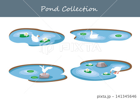 pond collection pond collection 141345646
