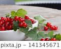 Bowl of fresh red currants with green leaves on wooden table in soft natural light 141345671