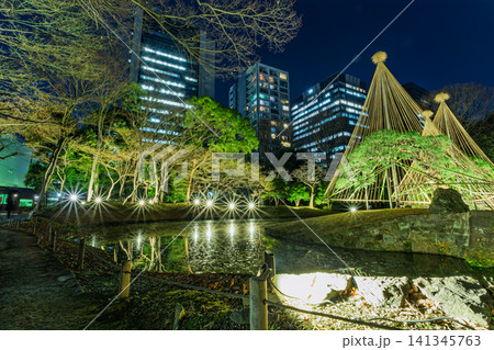 夜の小石川後楽園にきらめくライトアップと都会の夜景のコラボレーション 2024年1月 夜の小石川後楽園にきらめくライトアップと都会の夜景のコラボレーション 2024年1月 141345763