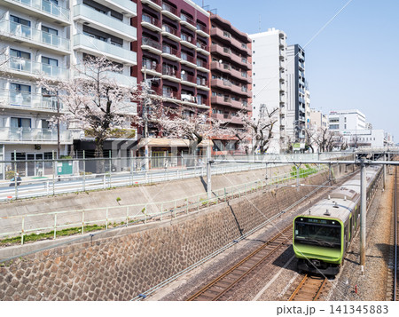 【山手線】桜並木の側を通過する山手線電車 【山手線】桜並木の側を通過する山手線電車 141345883
