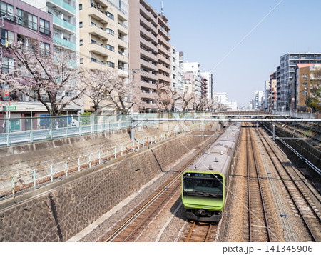 【山手線】桜並木の側を通過する山手線電車 【山手線】桜並木の側を通過する山手線電車 141345906