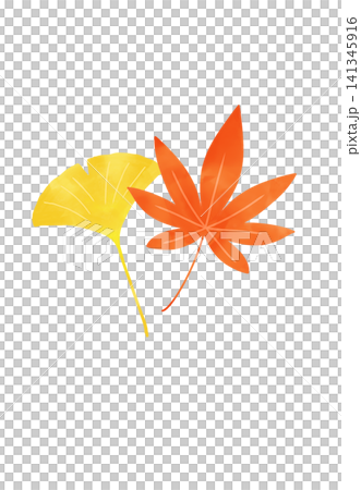 Illustration of autumn leaves painted in watercolor Illustration of autumn leaves painted in watercolor 141345916