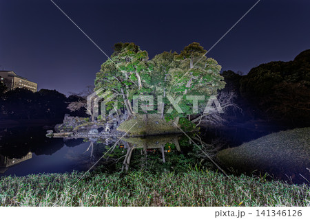 夜の小石川後楽園でライトアップされた蓬莱島と池への美しい鏡面反射 2024年1月 141346126
