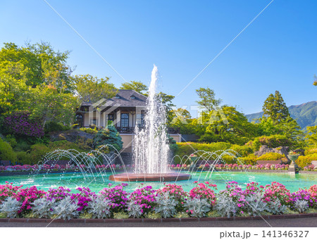 春の花が満開に咲く箱根強羅公園の噴水池からCafe Picが見える風景 春の花が満開に咲く箱根強羅公園の噴水池からCafe Picが見える風景 141346327