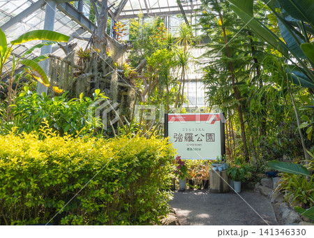 箱根強羅公園にある熱帯植物館のフォトスポットのある温室の様子 箱根強羅公園にある熱帯植物館のフォトスポットのある温室の様子 141346330