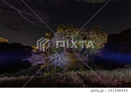 ライトアップされた手前の草むら越しに広がる、夜の小石川後楽園・大泉水と都会の高層ビルが織りなす夜景  141346443