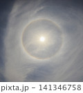 太陽を囲むハロ（22度ハロ）と薄雲 141346758