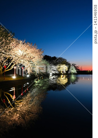 弁天潟風致公園の夜桜(新潟県聖籠町) 弁天潟風致公園の夜桜(新潟県聖籠町) 141346938
