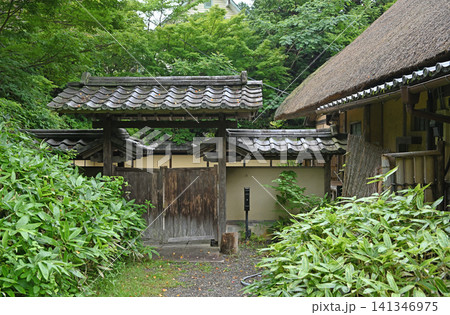 新緑に包まれる数寄屋門 茅葺き屋根の古民家へと続く伝統的な和風建築の門構え 新緑に包まれる数寄屋門 茅葺き屋根の古民家へと続く伝統的な和風建築の門構え 141346975