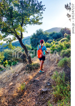 Female hiker walking on a sun-drenched mountain trail Female hiker walking on a sun-drenched mountain trail 141347237