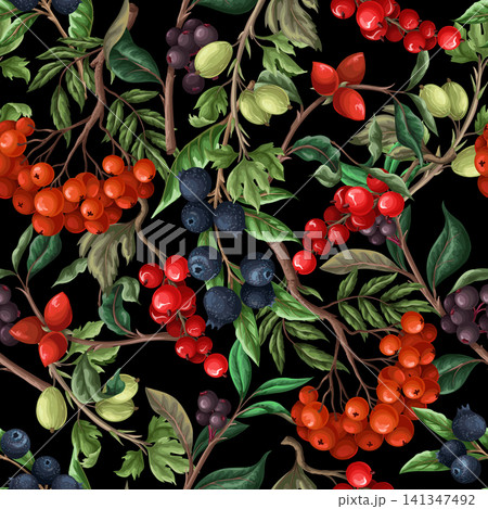 Seamless pattern with berries, such as rowan, blueberries and other. Vector. Seamless pattern with berries, such as rowan, blueberries and other. Vector. 141347492