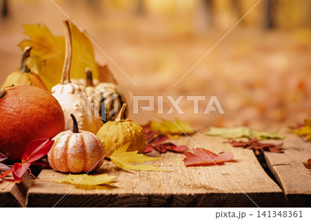A rustic autumn still life A rustic autumn still life 141348361