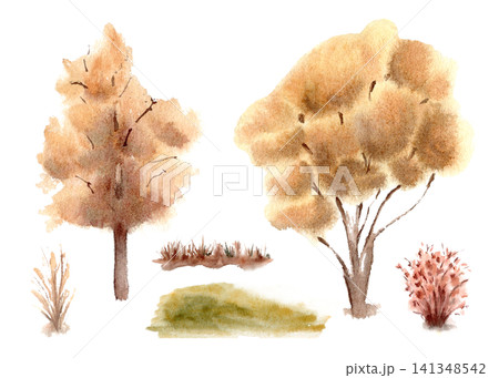 Autumn golden trees and red bushes with grass watercolor set isolated white. Seasonal woodland plants hand painted artistic sketch. Nature fall clip art of trees yellow orange canopy for design. 141348542
