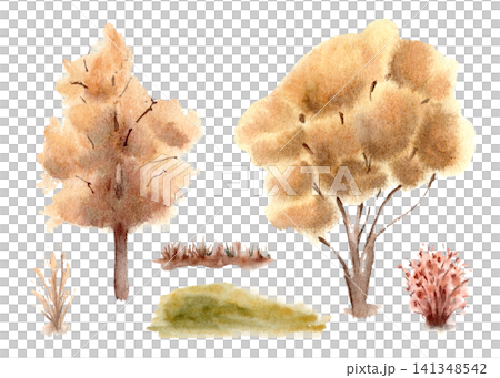 Autumn golden trees and red bushes with grass watercolor set isolated white. Seasonal woodland plants hand painted artistic sketch. Nature fall clip art of trees yellow orange canopy for design. 141348542