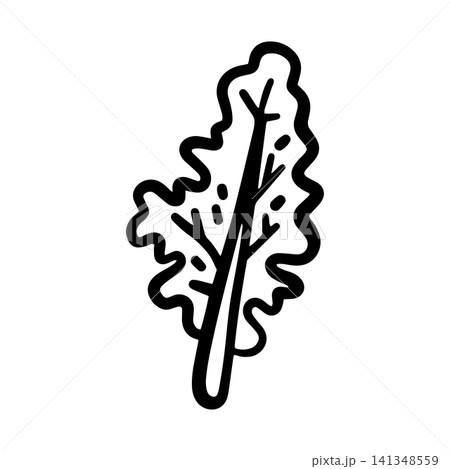 Hand-drawn doodle kale leaf illustration isolated on a white background. Simple black outline leafy green sketch for menus, restaurants, food packaging, labels, stickers, and healthy food designs. Hand-drawn doodle kale leaf illustration isolated on a white background. Simple black outline leafy green sketch for menus, restaurants, food packaging, labels, stickers, and healthy food designs. 141348559