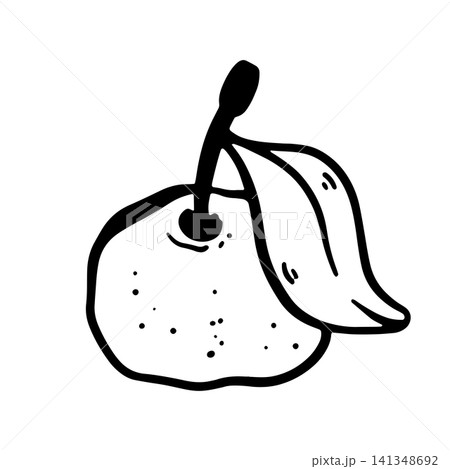 doodle tangerine illustration isolated on a white background. Simple black outline citrus fruit sketch for menus, restaurants, food packaging, labels 141348692