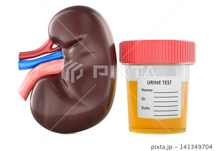 Kidney and urine test sample container. Urinalysis, renal health screening, laboratory diagnostics and kidney disease detection, 3d rendering Kidney and urine test sample container. Urinalysis, renal health screening, laboratory diagnostics and kidney disease detection, 3d rendering 141349704