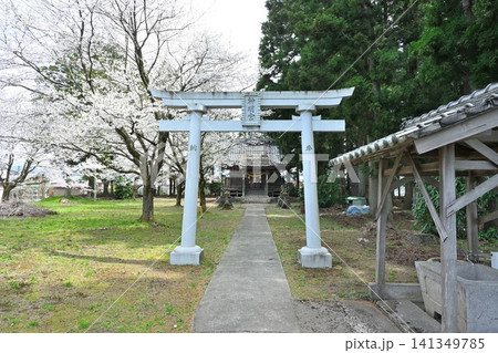 楢山神明宮に咲く桜(新潟県三条市) 楢山神明宮に咲く桜(新潟県三条市) 141349785
