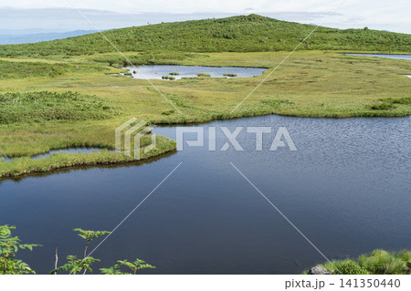 緑の高原に広がる青い沼の風景 緑の高原に広がる青い沼の風景 141350440
