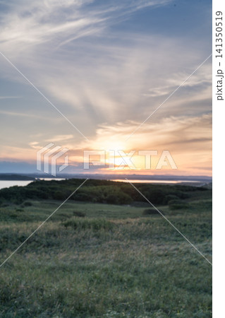 夕暮れの草原と沈む太陽 夕暮れの草原と沈む太陽 141350519