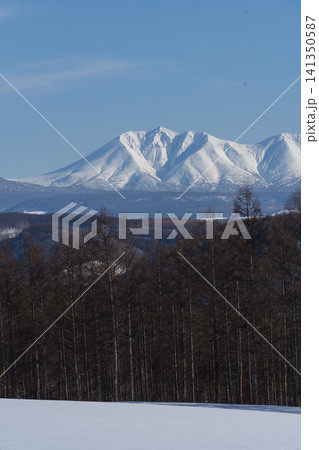 森の丘の上に鋭くそびえる雪峰の眺め 森の丘の上に鋭くそびえる雪峰の眺め 141350587