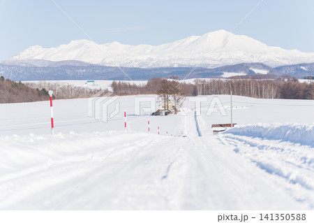 雪の一本道と冠雪の連峰 雪の一本道と冠雪の連峰 141350588