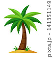 Palm tree. Tropical rainforest leaves, foliage. Coconut Palm. Vector cartoon illustration 141351149