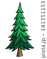 Hand drawn spruce tree isolated on white. Evergreen plant. Cartoon style vector illustration 141351153