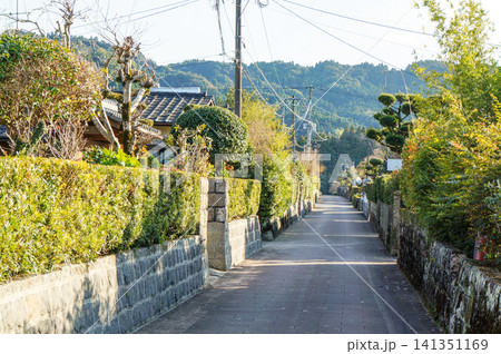 静かな石畳の並木道と山並みの美しい風景 静かな石畳の並木道と山並みの美しい風景 141351169
