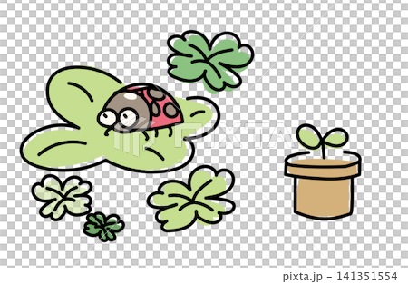 四葉草和瓢蟲插圖集 | 春季和初夏的自然元素 四葉草和瓢蟲插圖集 | 春季和初夏的自然元素 141351554