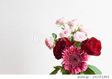 薔薇とガーベラ 薔薇とガーベラ 141351903
