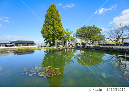 縫ノ池 141351915