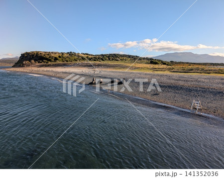 Small Sea Lion Group in Wide Patagonian Coastal Landscape Small Sea Lion Group in Wide Patagonian Coastal Landscape 141352036