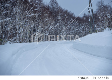 雪道と雪化粧の森林風景 雪道と雪化粧の森林風景 141353310