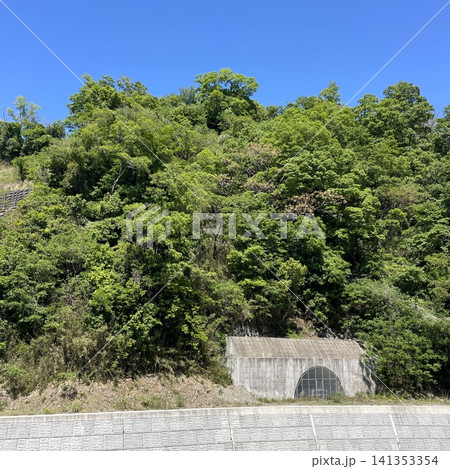 新緑が広がる山林と青空の風景 新緑が広がる山林と青空の風景 141353354
