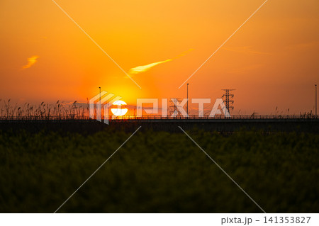 橋へ沈む太陽　夕暮れの風景 141353827