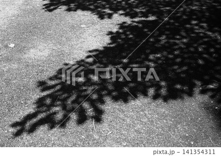 木の葉の陰 木の葉の陰 141354311