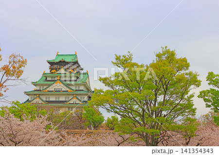 大阪府大阪市、桜と大阪城の風景 141354343