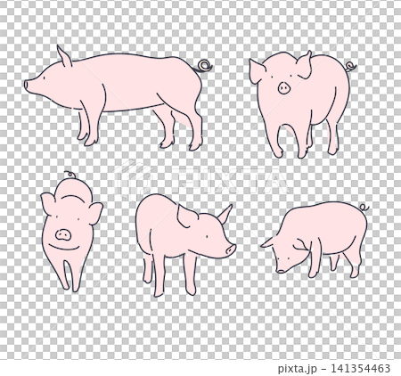 A simple and relaxed illustration of a pig. 141354463