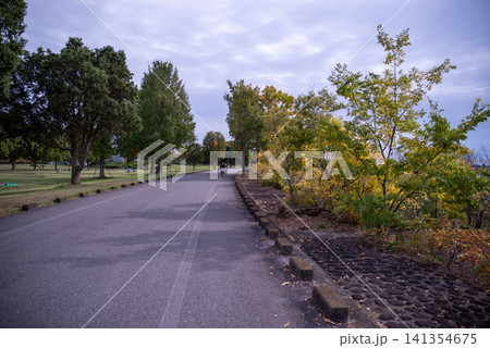 色づき始めた遊歩道 色づき始めた遊歩道 141354675