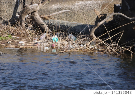 堰堤付近に滞留したプラスチックごみ(漂着ごみ) 堰堤付近に滞留したプラスチックごみ(漂着ごみ) 141355048