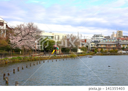 大田区にある小池公園 大田区にある小池公園 141355403