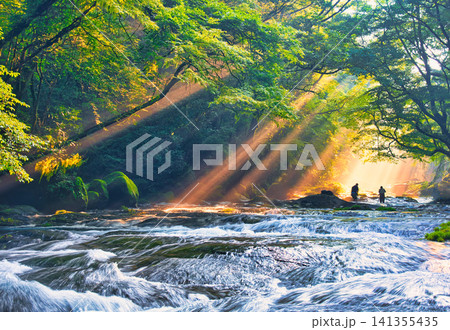 菊池渓谷の美しい光芒風景 菊池渓谷の美しい光芒風景 141355435