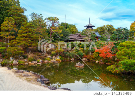 仁和寺御所庭園 仁和寺御所庭園 141355499