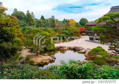 仁和寺御所庭園 仁和寺御所庭園 141355575