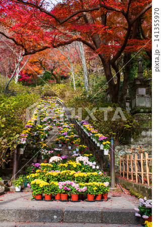 flower pot on steps with autumn leaf colors of Hasedera Temple, Nara flower pot on steps with autumn leaf colors of Hasedera Temple, Nara 141355970